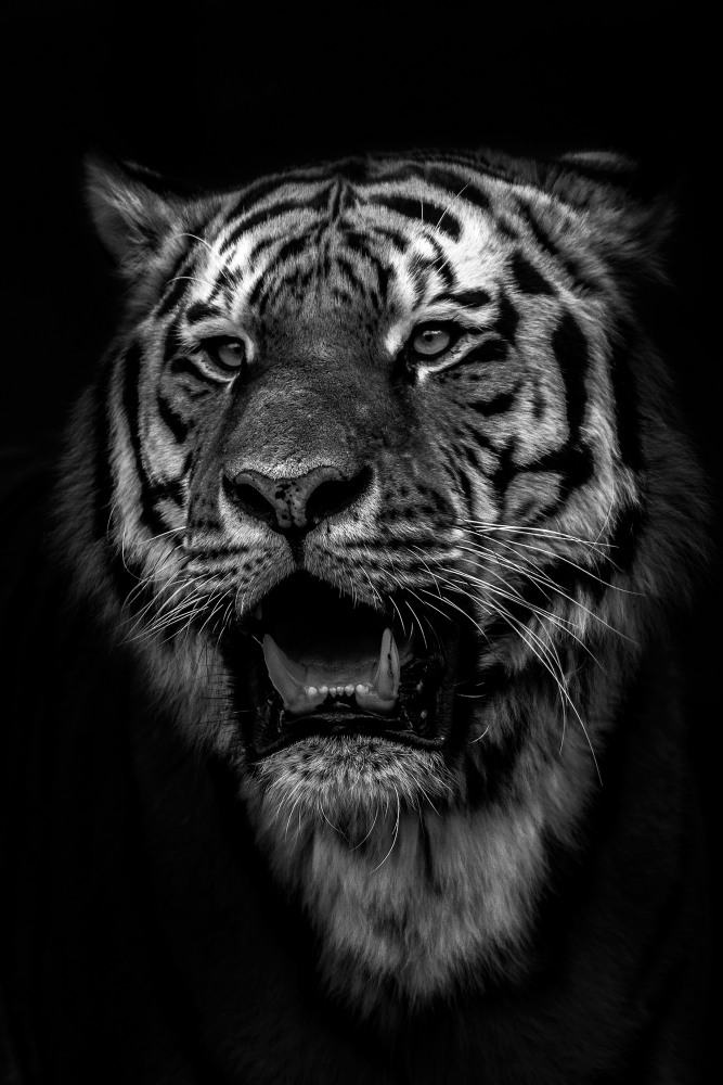 10. Platz Christoph Csokas